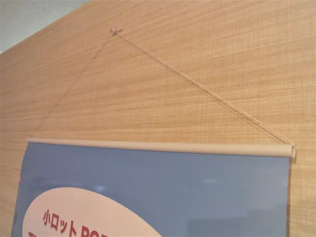 panelplus
